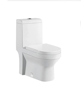 Washdown One-Piece Toilet