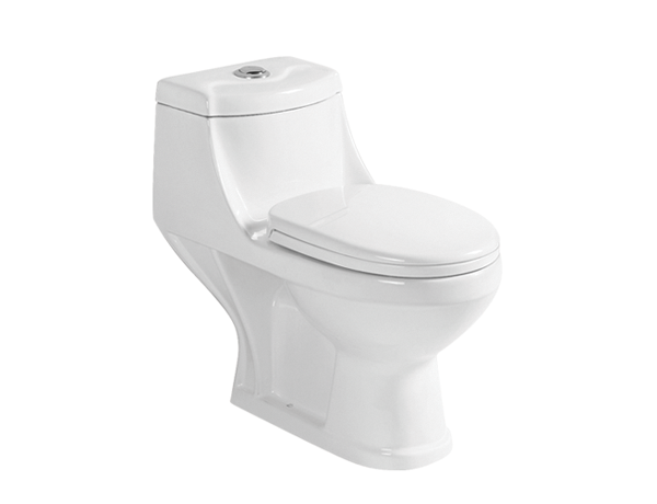 Washdown One-Piece Toilet