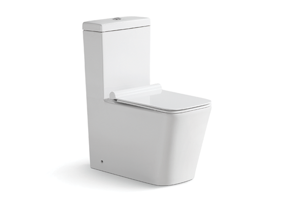 Washdown One-Piece Toilet