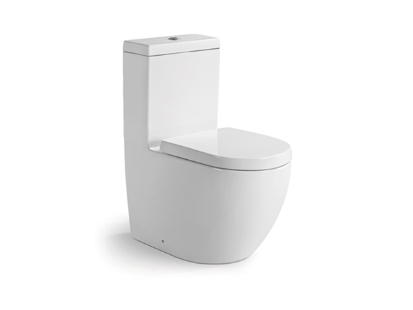 Washdown One-Piece Toilet